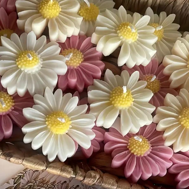 Serene Bloom: Daisy Soy Candle with Jasmine Fragrance